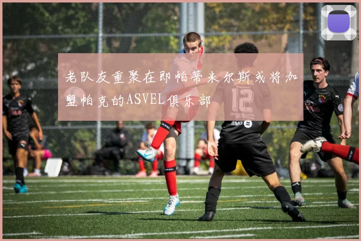 老队友重聚在即帕蒂米尔斯或将加盟帕克的ASVEL俱乐部